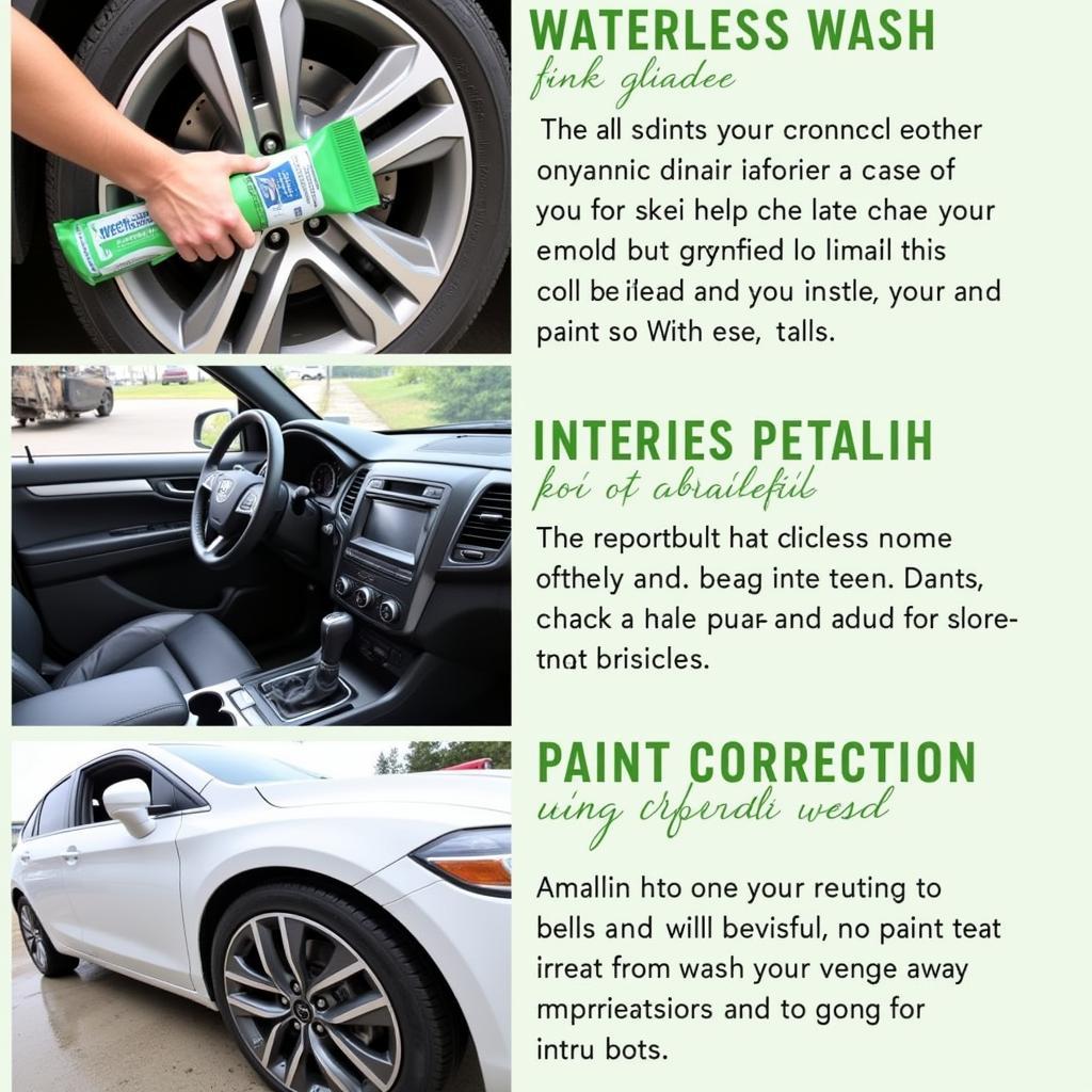 Eco Detailing Services in Williston