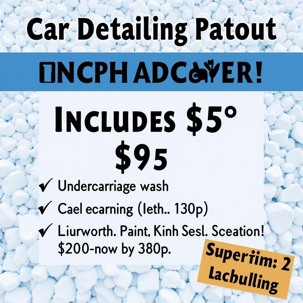 Winter Car Detailing Promotion