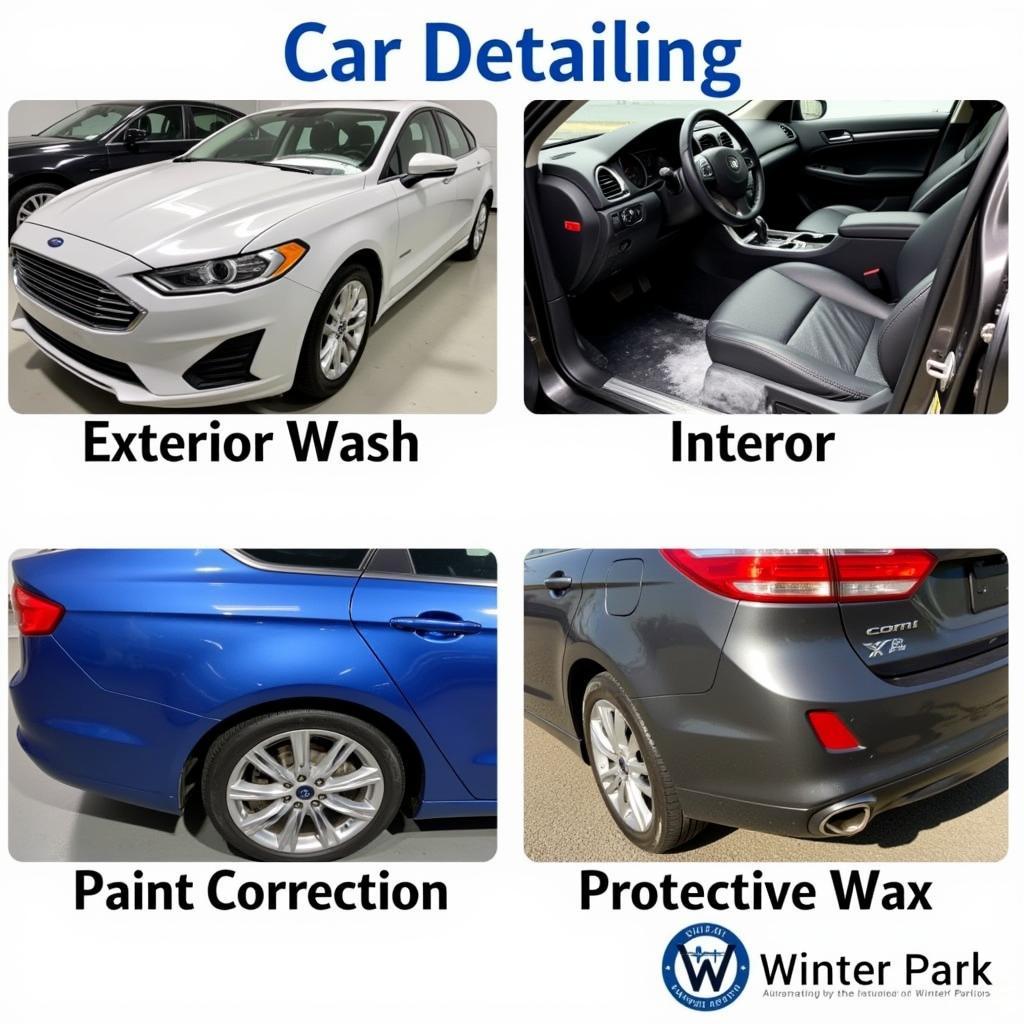 Winter Park Car Detailing Options