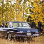 Discovering the Timeless Elegance of the Mercedes Benz W108