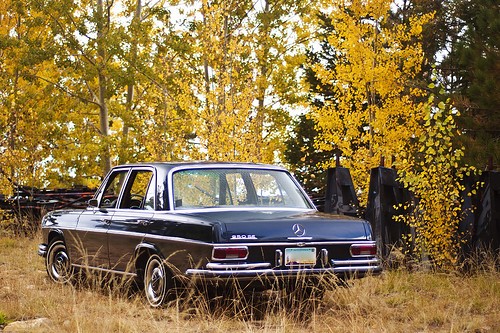 Discovering the Timeless Elegance of the Mercedes Benz W108