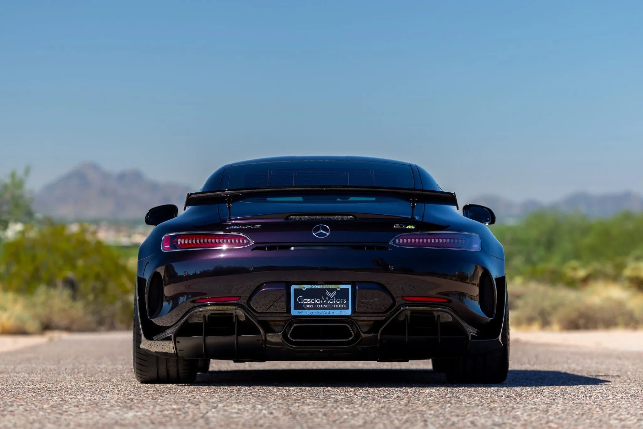 Northern Lights Violet Mercedes-AMG GT R Pro with Carbon Fiber Details